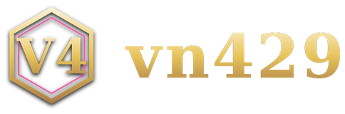 vn429 logo